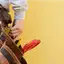 Handyman repair service in Birmingham, AL for home fixes and improvements